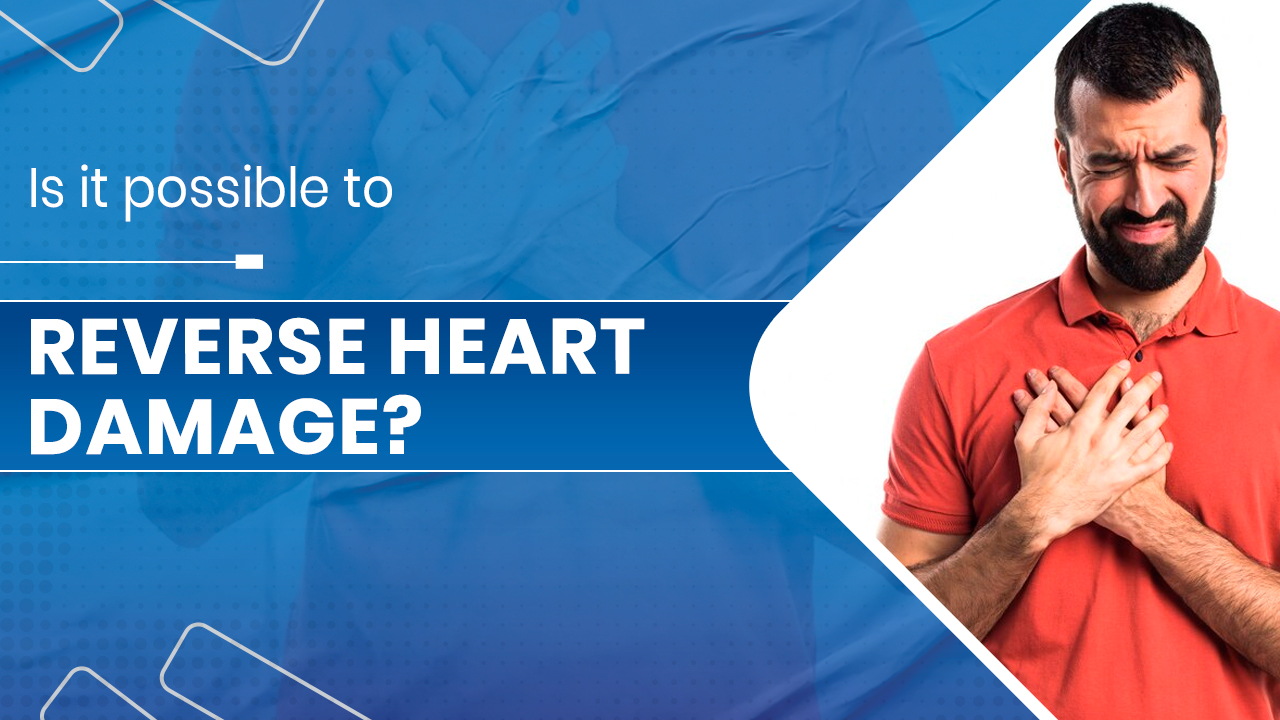 Is it possible to reverse heart damage?