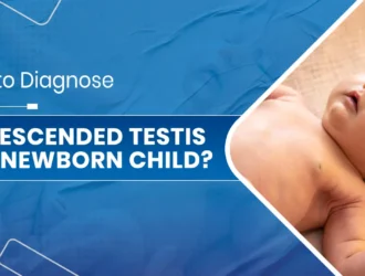 Undescended Testis in a Newborn Child
