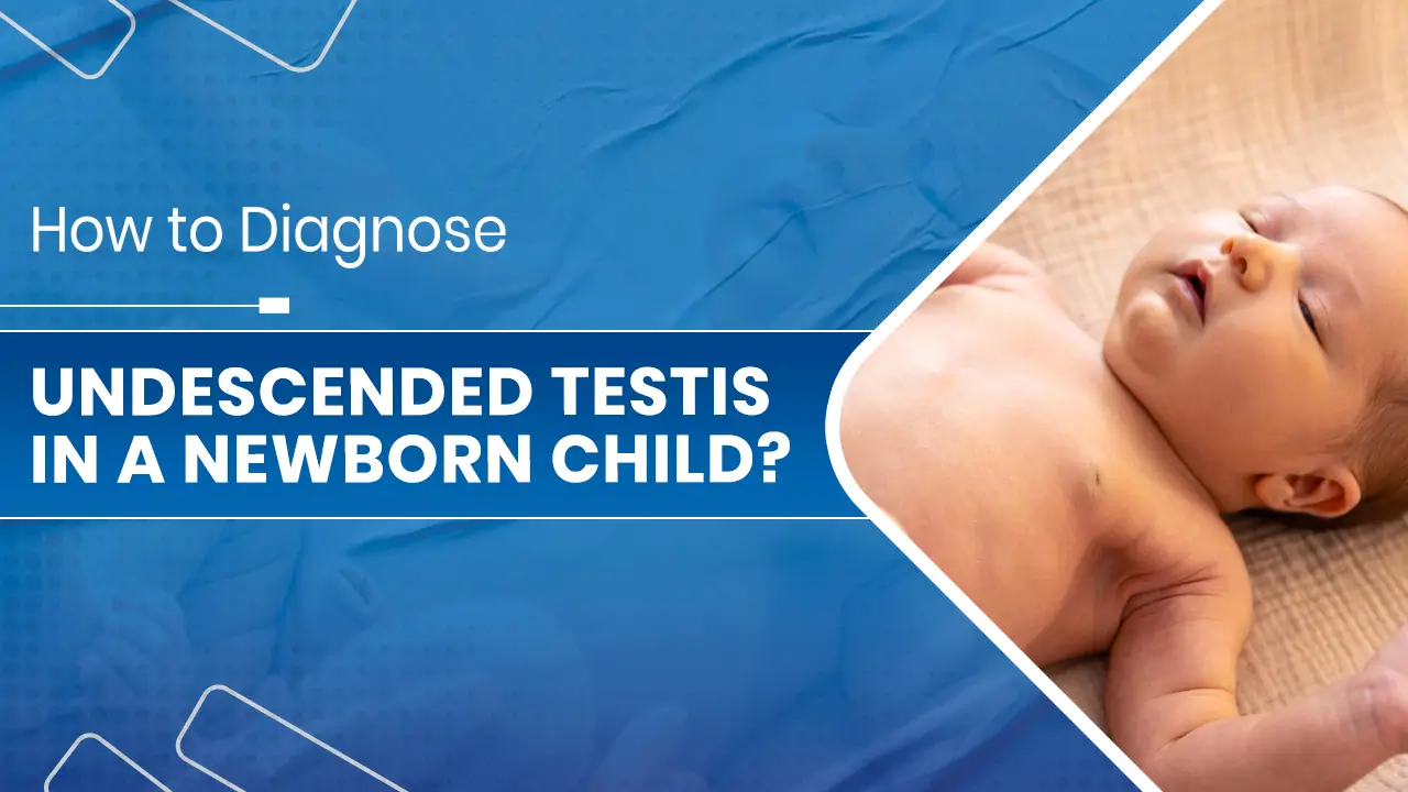 Undescended Testis in a Newborn Child