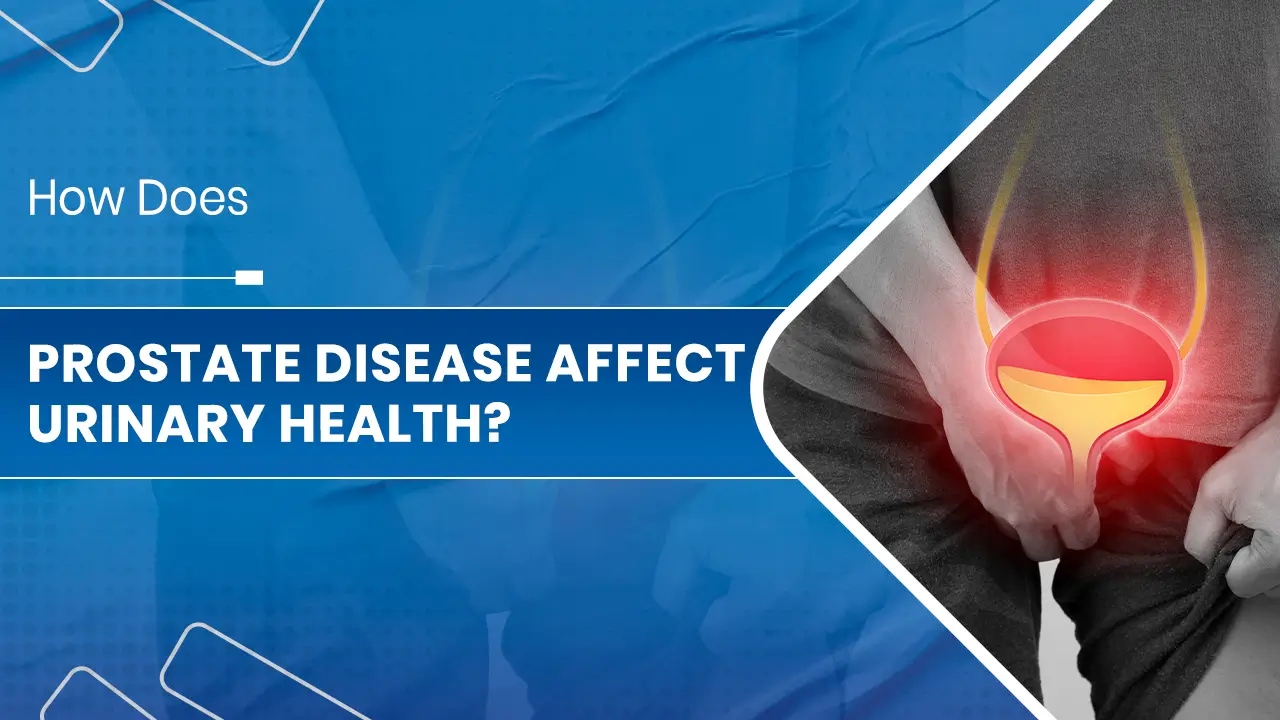 Prostate Disease Affect Urinary Health.jpg