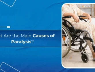 What Are the Main Causes of Paralysis