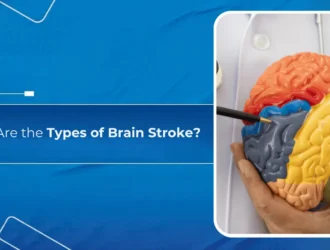What Are the Types of Brain Stroke