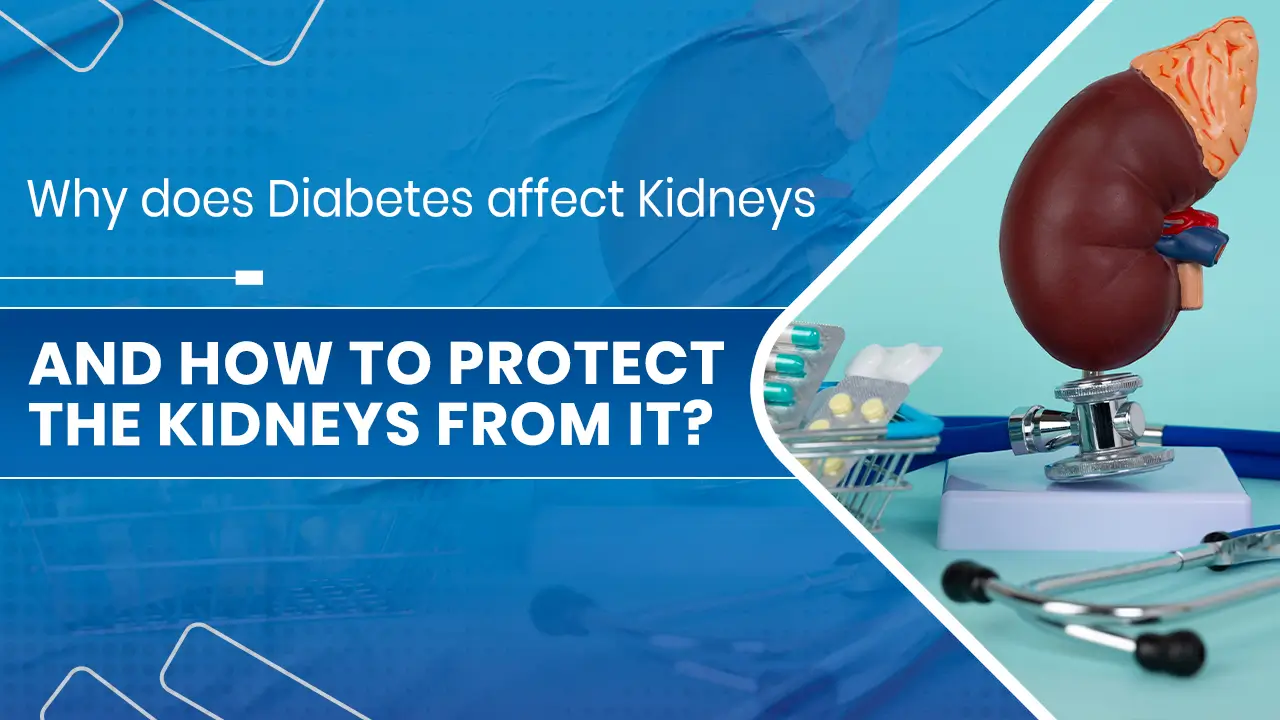 Why does Diabetes affect Kidneys