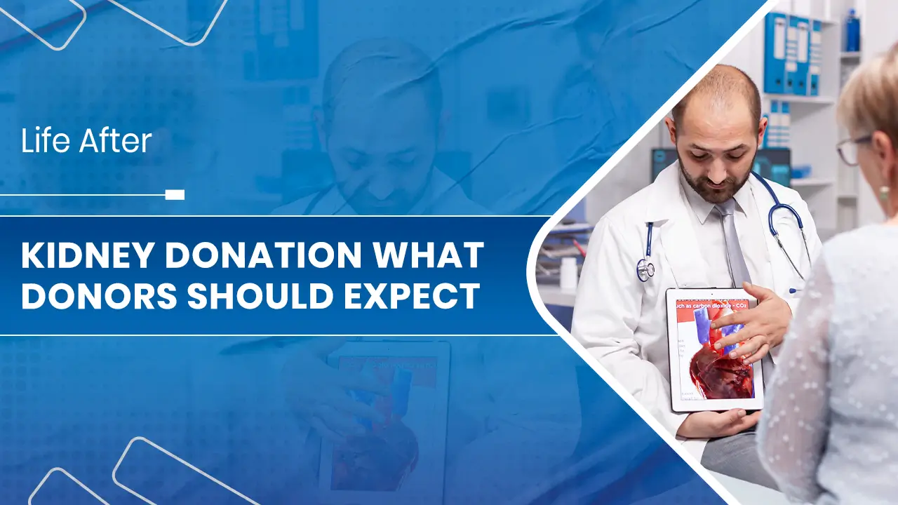 Life After Kidney Donation