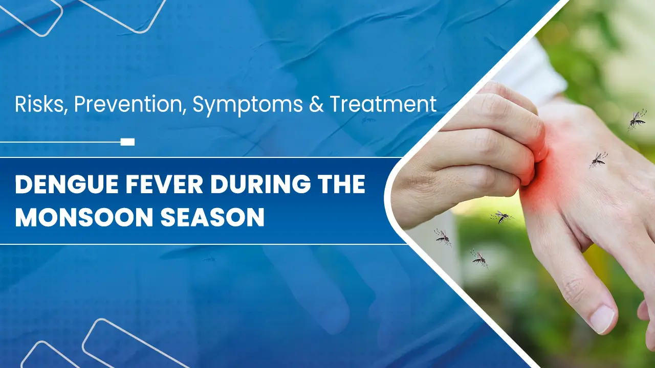 Dengue-Fever-During-the-Monsoon-Season