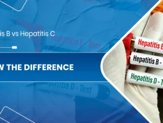 Hepatitis B vs Hepatitis C.jpg